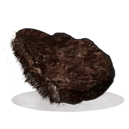 Burnt Bear Meat
