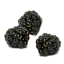 Black Raspberries