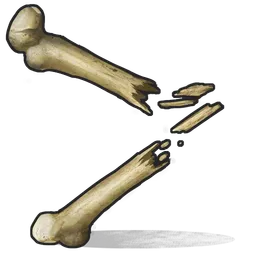 Bone Fragments