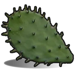 Cactus Flesh