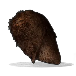 Burnt Chicken