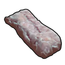 Raw Crocodile Meat