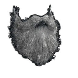 Santa Beard