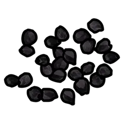 Black Berry Seed