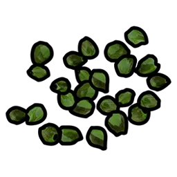 Green Berry Seed