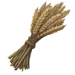 Wheat
